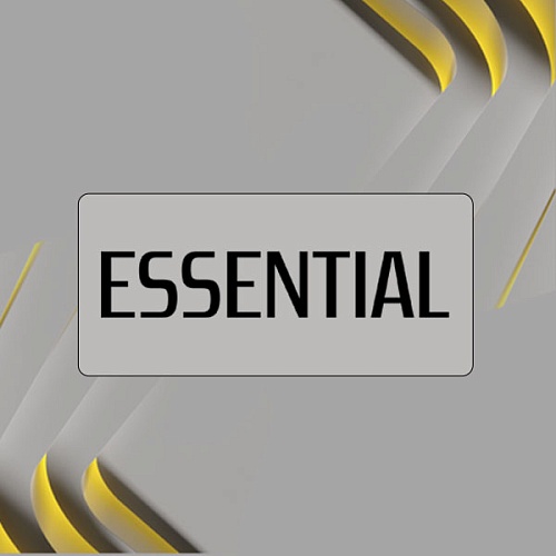 Подписка Essential 1 месяц